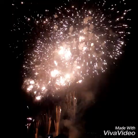 江戸川区花火大会2016 ②の画像