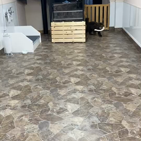 ”やっと夏らしく…”の画像