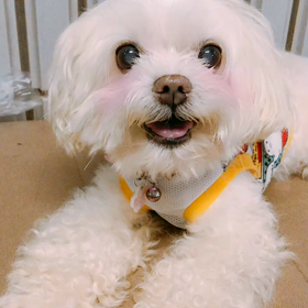 激かわくぅーたんの画像