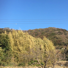 本日もキャンセル！の画像