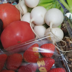 新鮮野菜。の画像