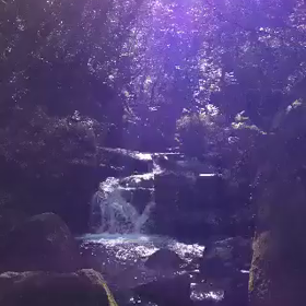 本当の自分を想い出す②の画像