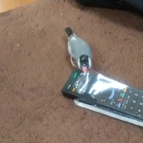 印象が変わった人の画像