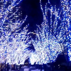 #ヨコハマミライト 動画３の画像