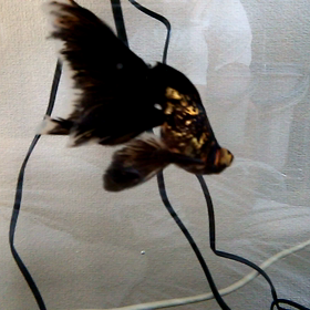 ある方へ向けたブログです。その②の画像