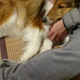 寝ちゃった(笑)の画像