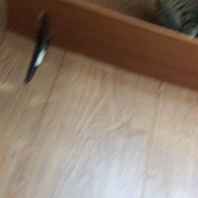 紙くず遊びの画像