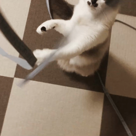 Ｒ君だって無邪気の画像