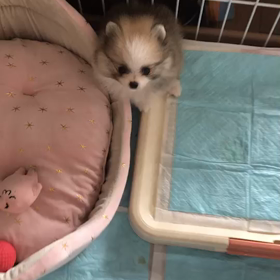 9月22日 今日はカーフリーデーの日の画像