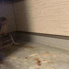 誹謗中傷とかアンチとか…の画像