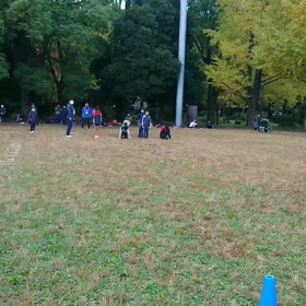 ダッシュ(その他チーム)③の画像