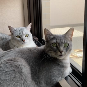 二人仲良く外見てますの画像