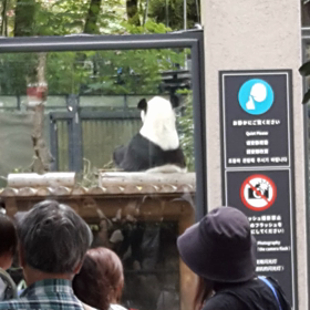 上野動物園に遊びに行ってきました！の画像