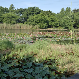 異常な～し❗️の画像