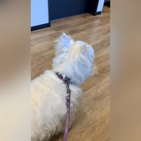 病院とトリミングの画像