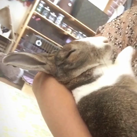 いつまでも私のバブちゃん♡の画像