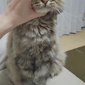 兄さんと爺さんの画像