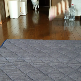 朝からタックル練習の画像