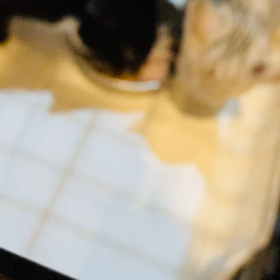 美味しそ、、。の画像