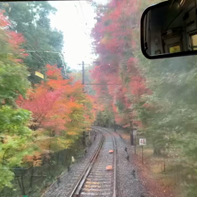 夏から紅葉までにの画像