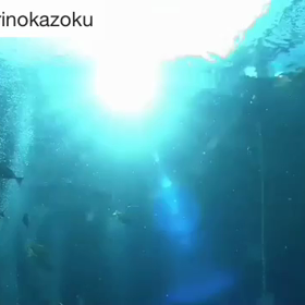 今夜、第8話放送！の画像