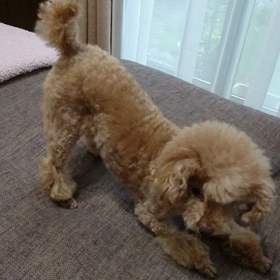 【今週も一週間、頑張るぞ！】の画像