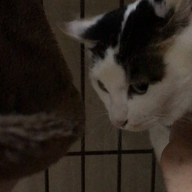 三咲さん(咲良ちゃんのママ)の画像