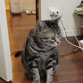 この時間がの画像