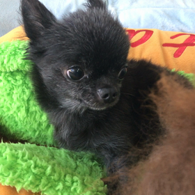 ♪プレイルーム動画♪の画像