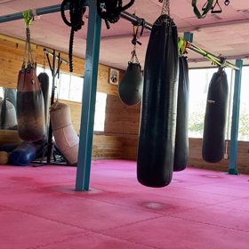 土曜の昼！の画像