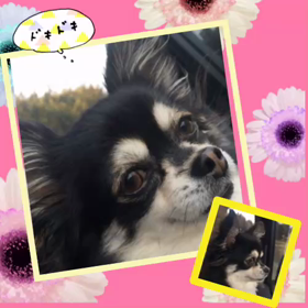 車仕入れの旅(*´ω｀*)ゞの画像