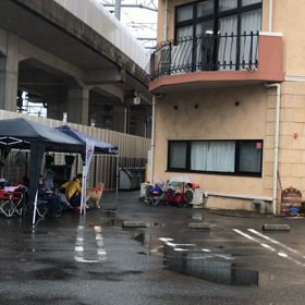 ハローフェスティバル！の画像