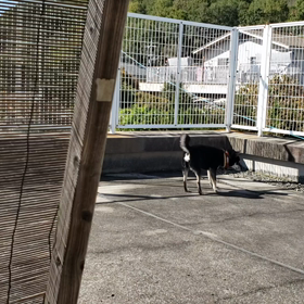 隠し撮りの画像