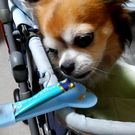 台風大丈夫ですか？の画像