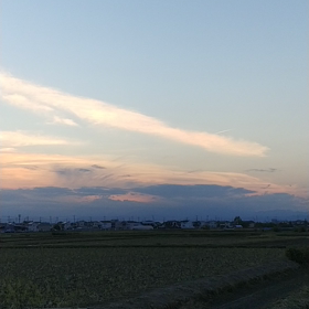 何処に行くのかな？の画像