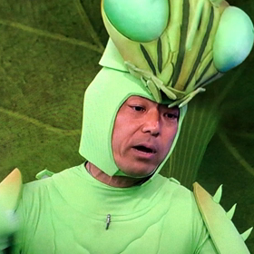 DAY101  香川照之の昆虫すごいぜ！の画像