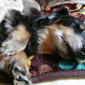 頑張っていますの画像