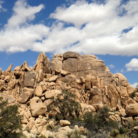 Palms Springs2. Joshua Tree National Parkの画像