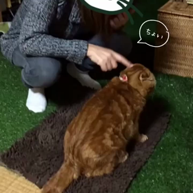 らぶらぶの画像