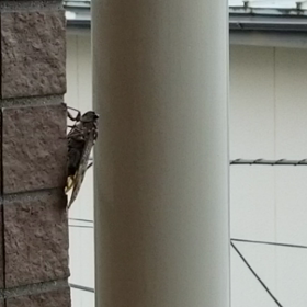 今日のひとときの画像