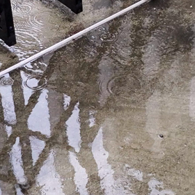 Yokohamaでも強風の画像