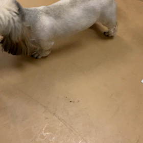 モンドくんファミリーの画像