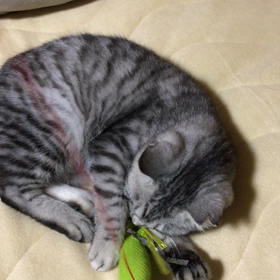 愚痴って良いっすか…の画像