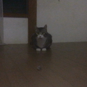 ちょいと運動‼️の画像