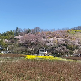 久しぶりの投稿ですの画像