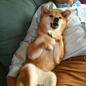 やっぱりかわえぇ。の画像