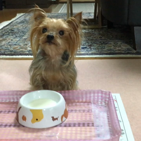 お散歩の後の楽しいひと時‼️の画像