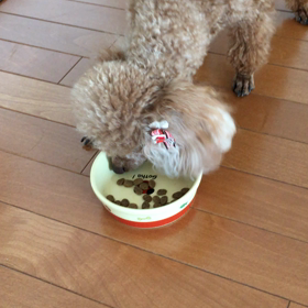 朝のルーティンの画像