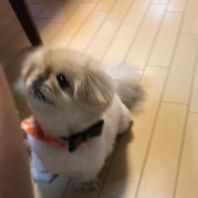 お代わりできるようになったよ♡の画像