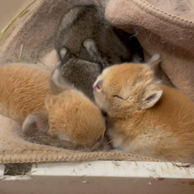 もうそろそろの画像